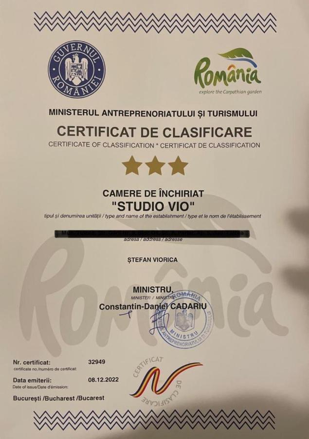 Studio Vio Appartement Tulcea Buitenkant foto